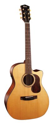 Cort Gold A6