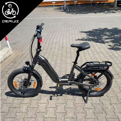 DERUIZ ebike 20 Zoll Faltrad Peridot Shimano 8 Gang mit 250W55Nm Hinterradmotor 500Wh