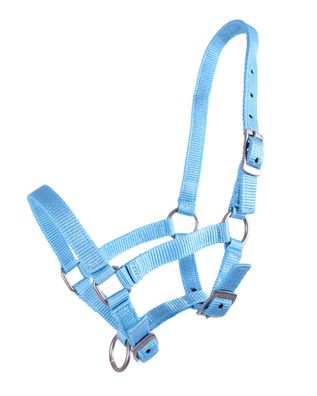 QHP Fohlen Halfter Baby-blau FS 2022
