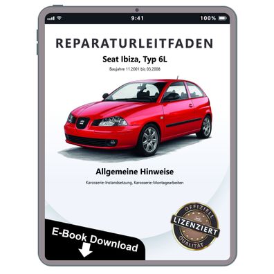 Seat Ibiza 6L 01-08 Hinweise Karosserie Instandsetzung Reparaturanleitung eBook