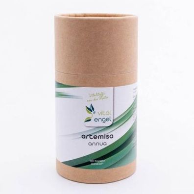 Artemisia annua Kapseln (120 Stück) in ökol. Verpackung - Vital Engel