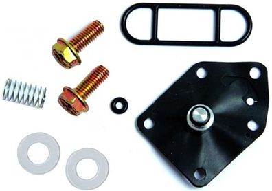 Benzinhahn-Rep-Satz KAW ZZR600, GPX750R