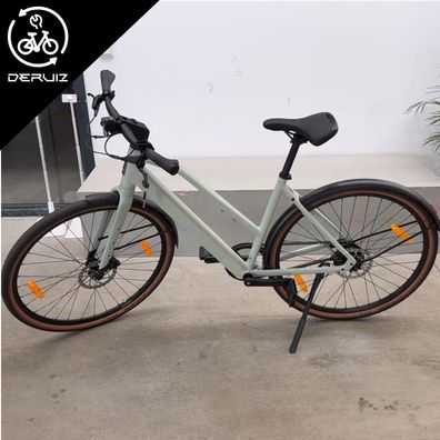 DERUIZ City eBike 36V/360Wh 250W/35Nm Elektrofahrrad mit Riemenantrieb