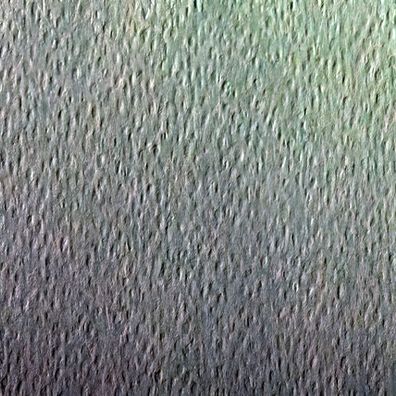 Clairefontaine Etival Col 160g 50x65 250B Dunklgrü