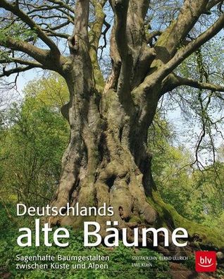 Deutschlands alte Bäume: Sagenhafte Baumgestalten zwischen Küste und Alpen