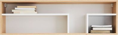 Hängeregal PIXEL PX13 Wandregal Wandboard 105 cm breit Regal