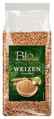 Rinatura Weizen Bio 500 g Packung Vegan Proteinquelle