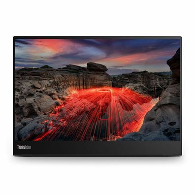 Lenovo ThinkVision M14t Gen2, (14") 2k, IPS, USB