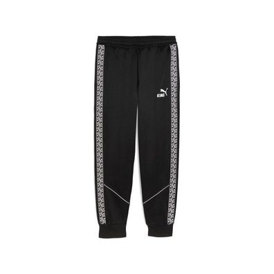Puma Trainingshose teamKING Anthem Pants 660535
