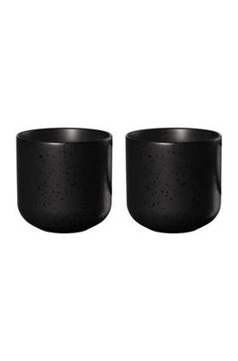 ASA 2er Set Teebecher, kuro coppa, 19080190 1 Set