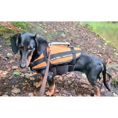 Schwimmhilfen Hundeschwimmhilfe Hundeweste Hund