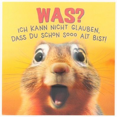 Depesche 14001-015- 3D Grußkarte mit Musik, witzige Geburtstags-Karte mit farbenfrohe