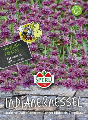 Sperli Indianernesseln violett - Blumensamen