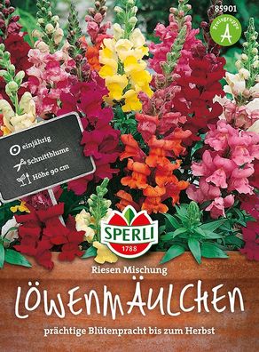 Sperli Löwenmäulchen Riesen Mischung - Blumensamen