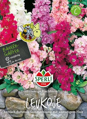 Sperli Levkojen Großblumige Prachtmischung - Blumensamen