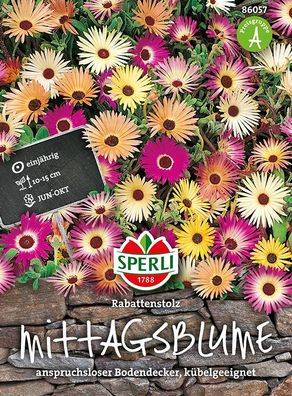 Sperli Mittagsblumen Rabattenstolz - Blumensamen