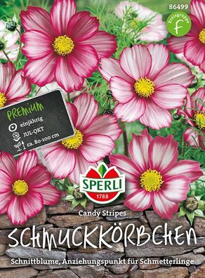 Sperli Schmuckkörbchen / Kosmee Candy Stripes - Blumensamen