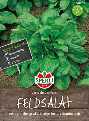 Sperli Feldsalat Verte De Cambrai / Jupiter / Dunkelgrüner Vollherziger 2 - Gemüsesam