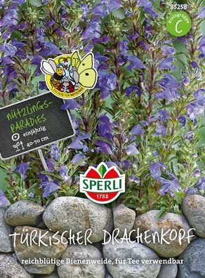 Sperli Türkischer Drachenkopf - Blumensamen
