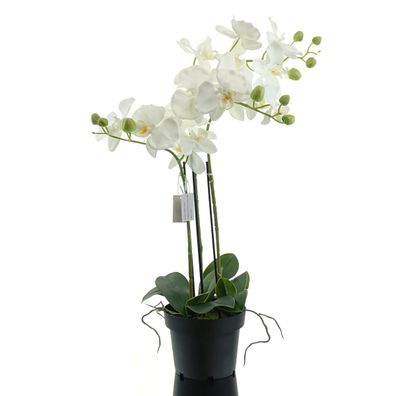 GASPER Schmetterlingsorchidee - Phalaenopsis weiß 62 cm - Kunstpflanzen