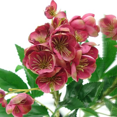 GASPER Christrose - Helleborus Rosa - Kunstblumen