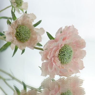 DEKO® Florale Scabiose Rosa 60 cm - Kunstblumen