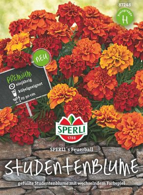 Sperli Studentenblumen Tagetes Feuerball - Blumensamen