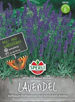 Sperli Lavendel Blaues Wunder - Blumensamen
