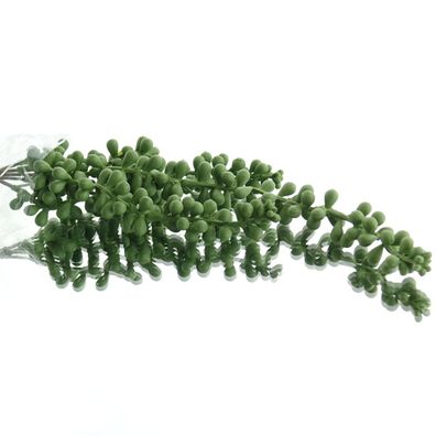 Kunstblume Sukkulente Sedum hängend 36 cm