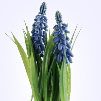 DEKO® Florale Traubenhyazinthen in schwarzem Pflanztopf - Kunstblumen