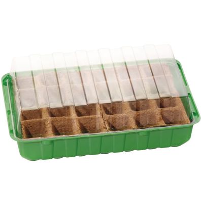 Romberg Classic Anzuchthaus M PLUS POTS Grün 36 x 13 cm & 4 x 6er Anzuchttöpfe