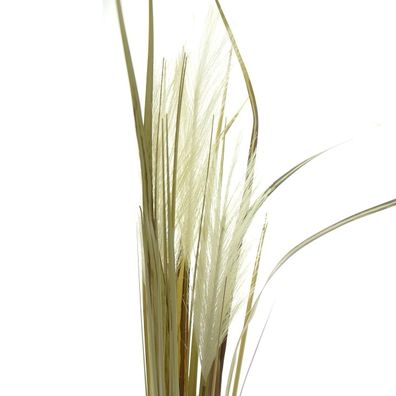 DPI Pampasgras Weiß in Trockenblumenoptik ca. 77 cm - Kunstblumen
