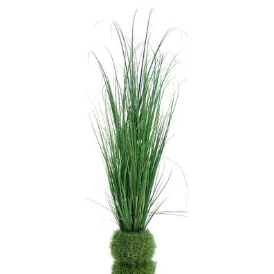 DPI Aus einer Graskugel entspringt ein Gras 80 cm - Kunstblumen