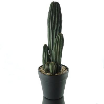 DPI Kakteengruppe im Kunststofftopf 40 cm - Kunstblumen