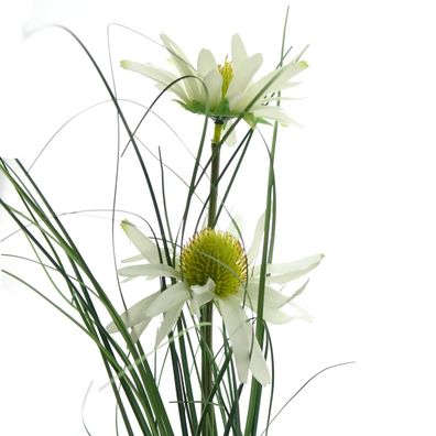 DPI Sonnenhut Cremeweiß mit 2 Blüten & Gras 92 cm - Kunstblumen