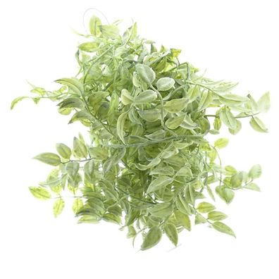 DPI Philodendron Blattgirlande Grün & Weiß 165 cm - Kunstblumen