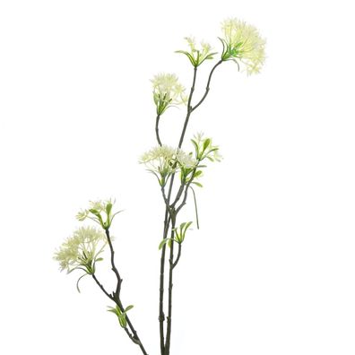 DPI Bowardienzweig Cremeweiß 85 cm - Kunstblumen