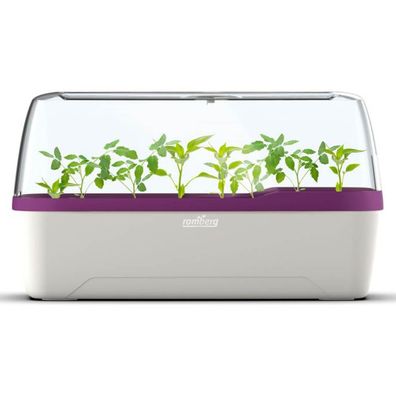 Romberg Bo Qube L Plus Gewächshaus Weiß & Pflaumenfarbig 41 x 17 x 23 cm