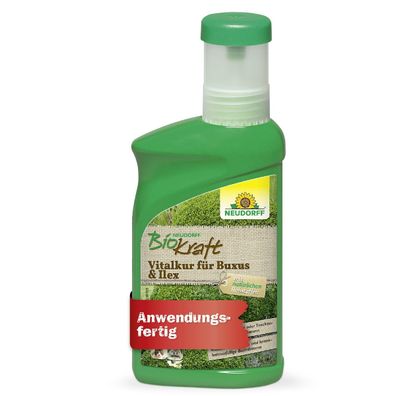 NEUDORFF® BioKraft Vitalkur für Buxus 300 ml