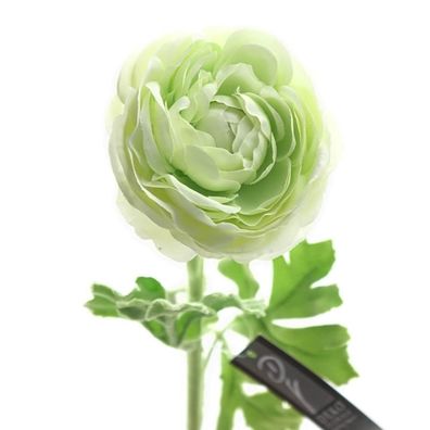DEKO® Florale Ranunkel Hellgrün 47 cm - Kunstblumen