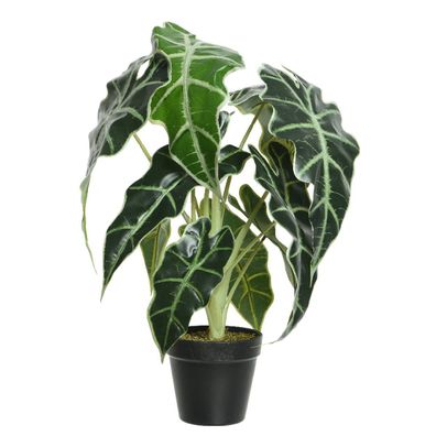 Kaemingk Alocasia Grünpflanze im Topf 50 cm - Kunstpflanzen