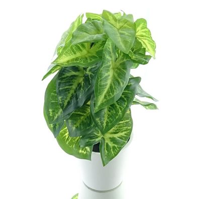 GASPER Syngoniumpflanze mit 24 Blättern im Kunststofftopf 24 cm - Kunstpflanzen