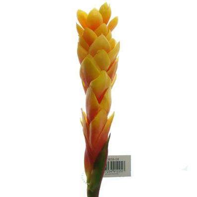 DPI Ingwerblüte Orange & Rot 80 cm - Kunstblumen