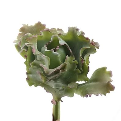 DEKO® Florale Sukkulente Curved Grün & Malve 15 cm - Kunstpflanzen