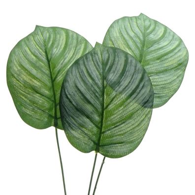 GASPER Pfeilwurz - Calatheablatt 72 cm - Kunstblumen