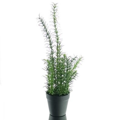 GASPER Rosmarin im Kunststofftopf 43 cm grün - Kunstpflanzen