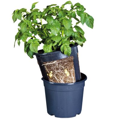 Esschert Design Kartoffelpflanztopf Blau Ø 30,2 cm - PP