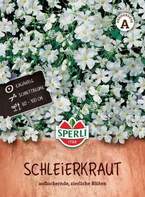 Sperli Schleierkraut Weiß - Blumensamen
