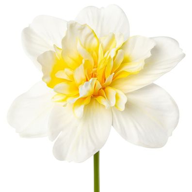 GASPER Osterglocken - Narzissen Weiß & Gelb gefüllte Blüte 40 cm - Kunstblumen