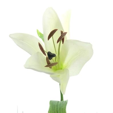 DPI Lilienblüte Creme auf kurzem Stiel 35 cm - Kunstblumen